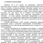 Иллюстрация №5: Польза и влияние лесных муравьев на лес и его окружающую среду (Рефераты - Биология, Экология).